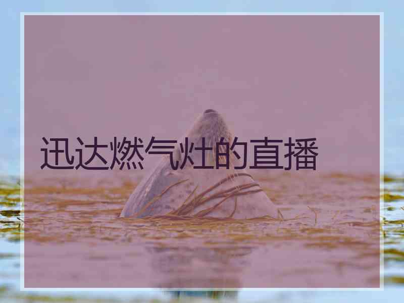 迅达燃气灶的直播 迅达燃气灶的直播