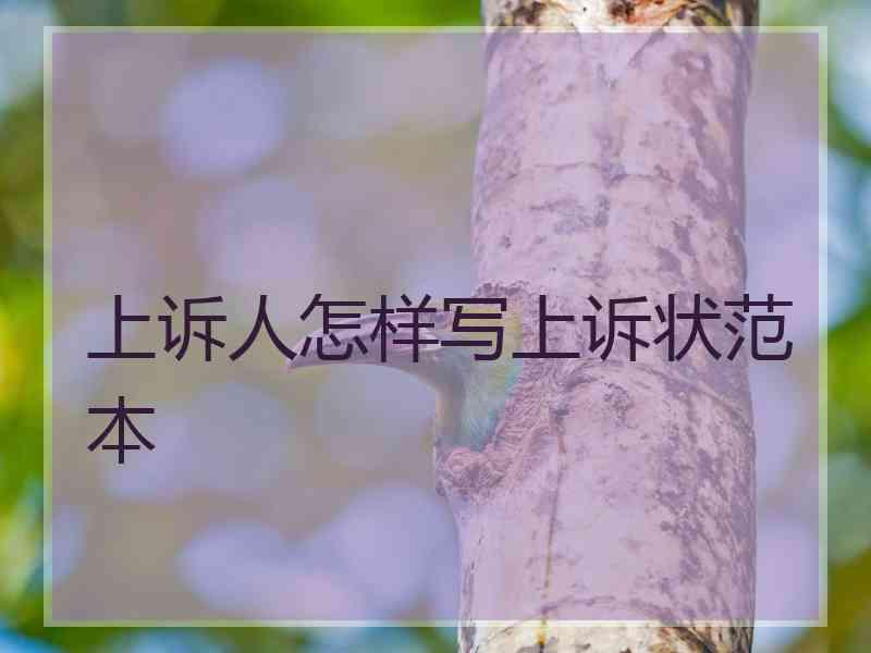 上诉人怎样写上诉状范本 上诉人怎样写上诉状范本