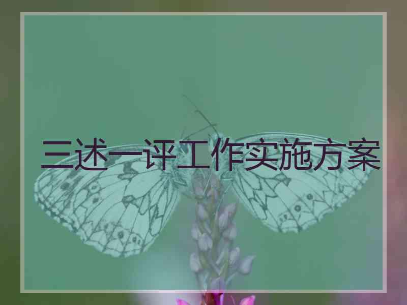 三述一评工作实施方案 三述一评工作实施方案