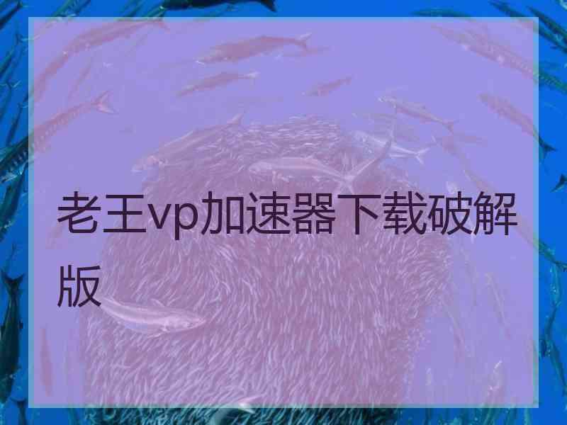 老王vp加速器下载破解版