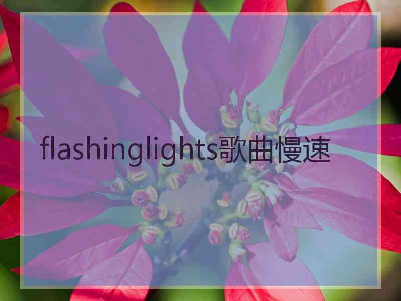 flashinglights歌曲慢速 flashinglights歌曲慢速