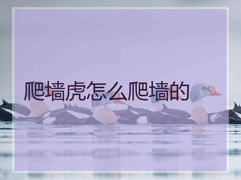 爬墙虎怎么爬墙的 爬墙虎怎么爬墙的