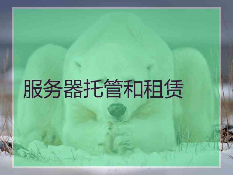 服务器托管和租赁 服务器托管和租赁