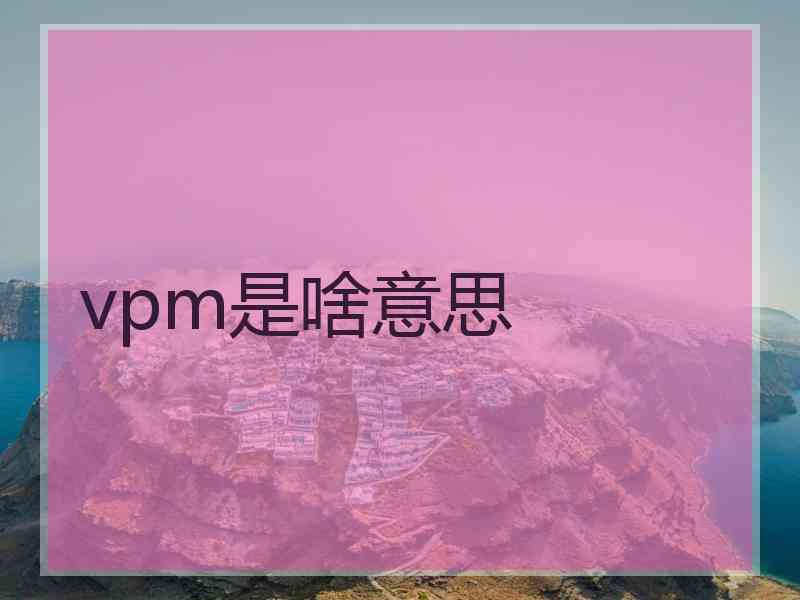 vpm是啥意思 vpm是啥意思