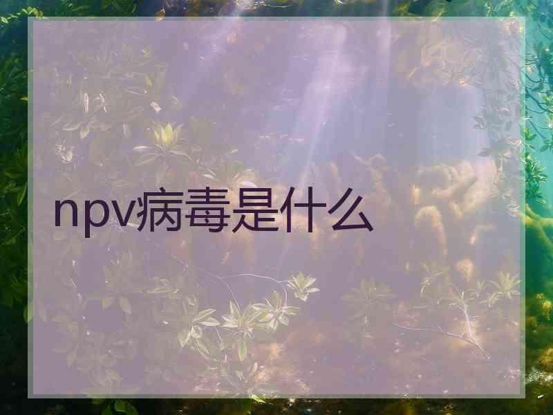 npv病毒是什么 npv病毒是什么