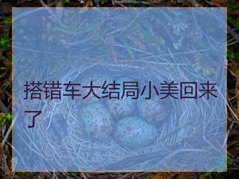 搭错车大结局小美回来了 搭错车大结局小美回来了
