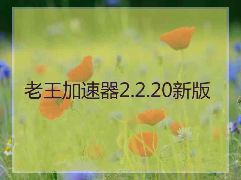 老王加速器2.2.20新版