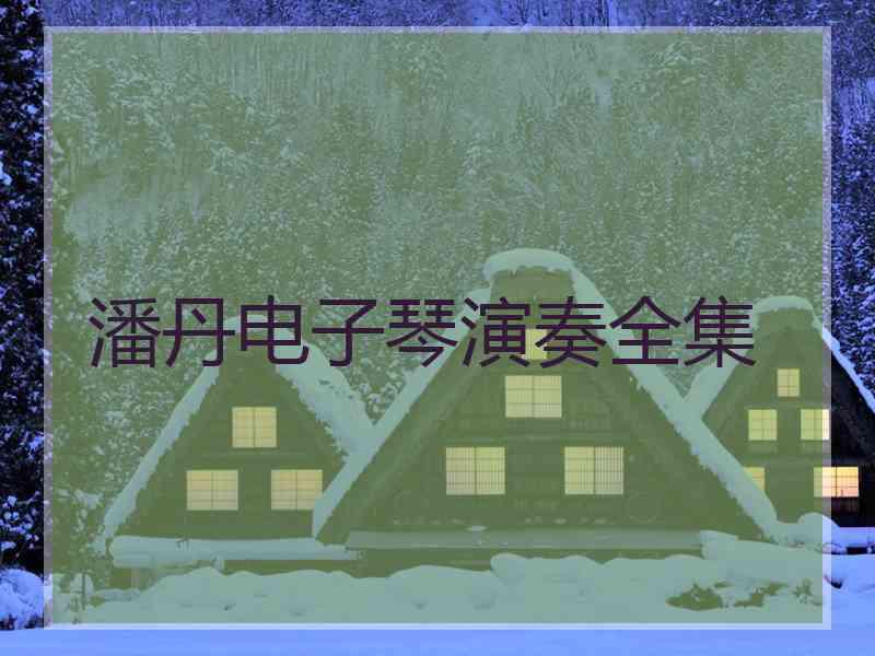 潘丹电子琴演奏全集 潘丹电子琴演奏全集