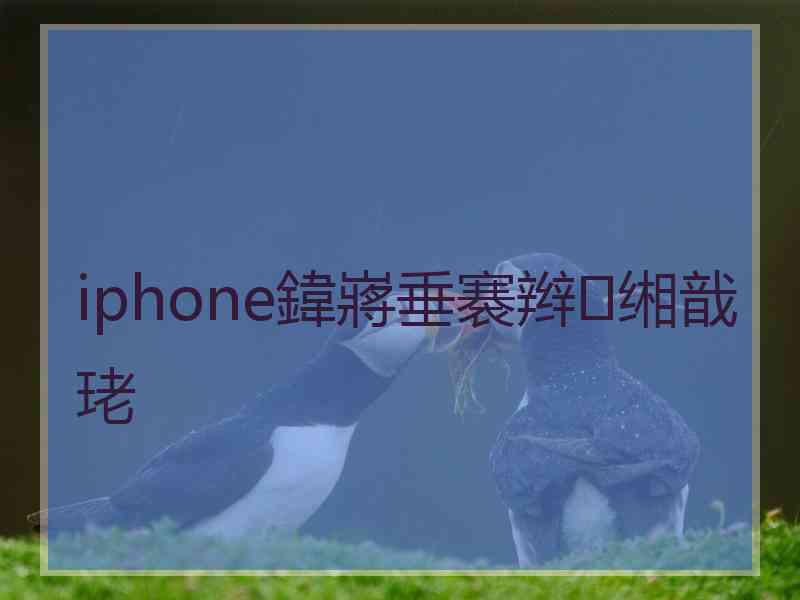 iphone鍏嶈垂褰辫缃戠珯 iphone鍏嶈垂褰辫缃戠珯