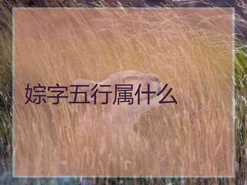 婃字五行属什么 婃字五行属什么