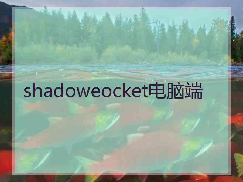 shadoweocket电脑端 shadoweocket电脑端