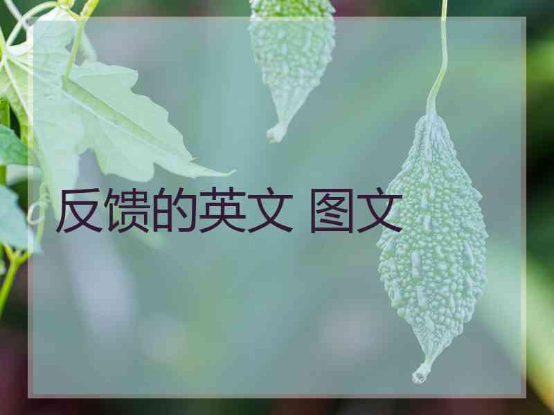 反馈的英文 图文 反馈的英文 图文