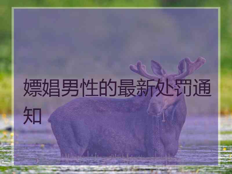 嫖娼男性的最新处罚通知 嫖娼男性的最新处罚通知