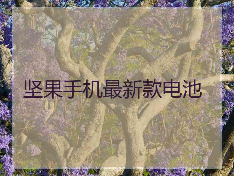 坚果手机最新款电池 坚果手机最新款电池
