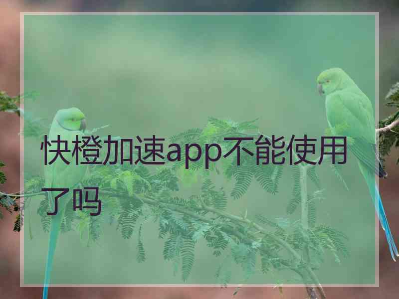 快橙加速app不能使用了吗 快橙加速app不能使用了吗