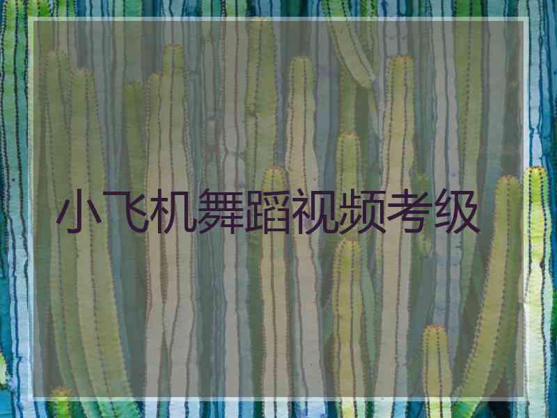 小飞机舞蹈视频考级 小飞机舞蹈视频考级