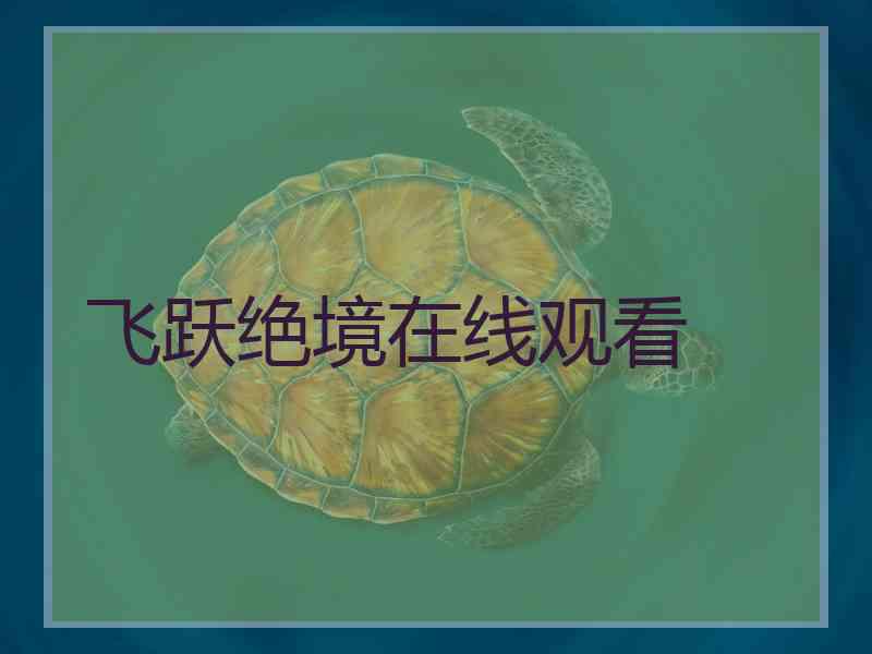 飞跃绝境在线观看 飞跃绝境在线观看