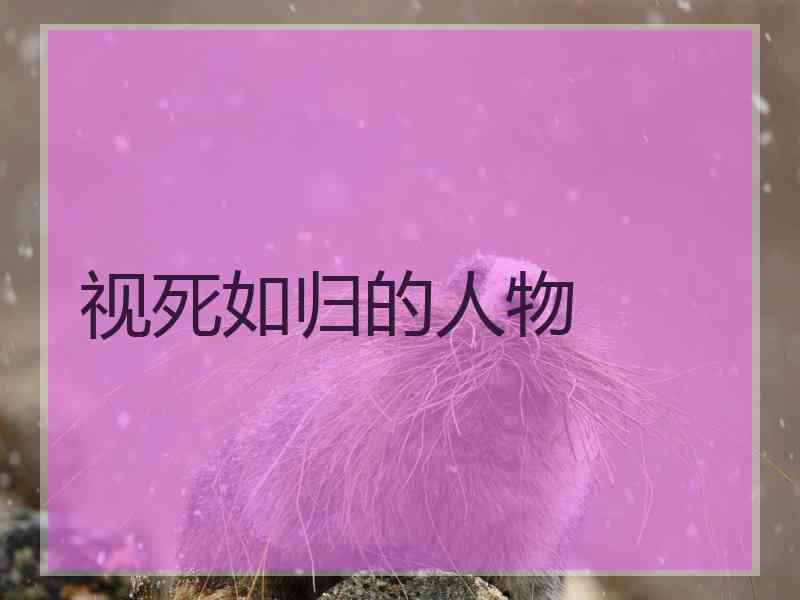 视死如归的人物 视死如归的人物