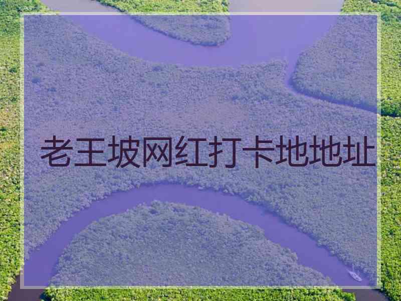 老王坡网红打卡地地址 老王坡网红打卡地地址