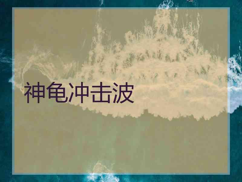 神龟冲击波 神龟冲击波