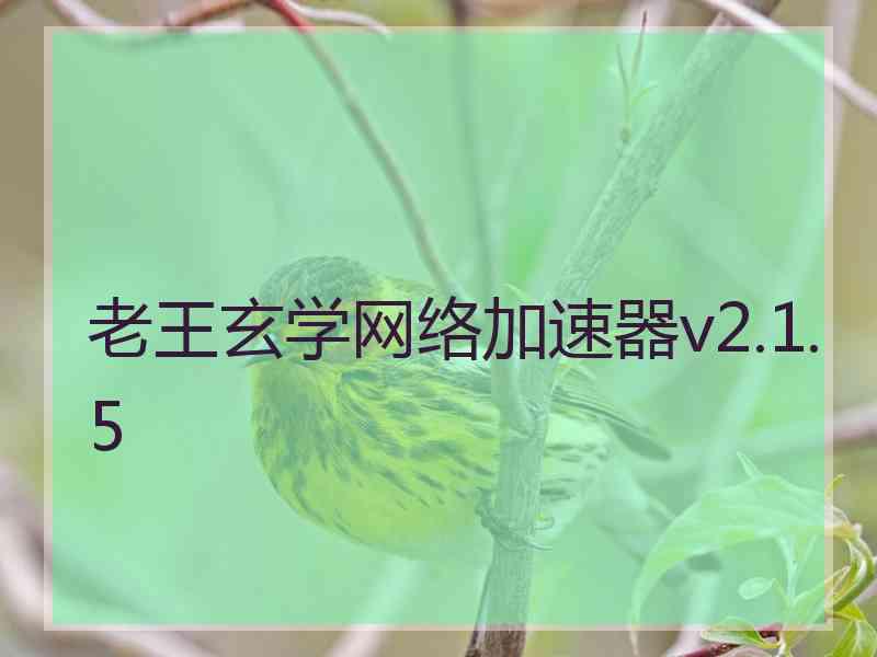 老王玄学网络加速器v2.1.5 老王玄学网络加速器v2.1.5