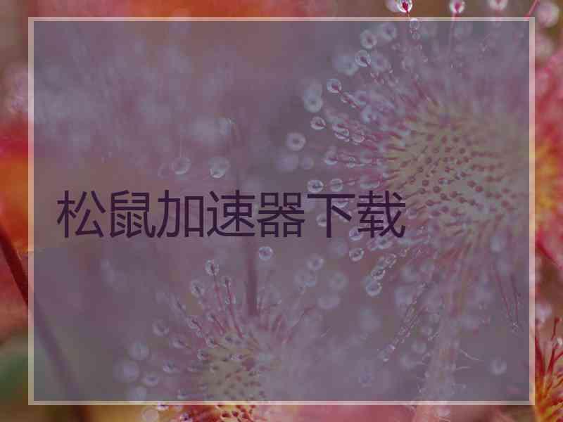 松鼠加速器下载 松鼠加速器下载