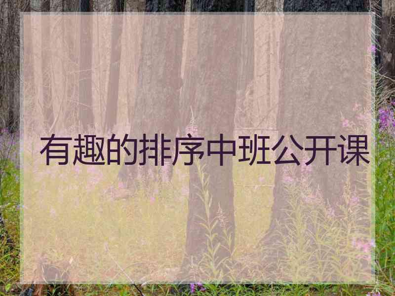 有趣的排序中班公开课 有趣的排序中班公开课