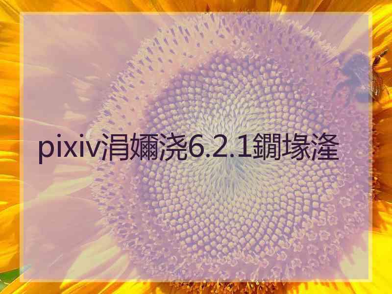 pixiv涓嬭浇6.2.1鐗堟湰 pixiv涓嬭浇6.2.1鐗堟湰