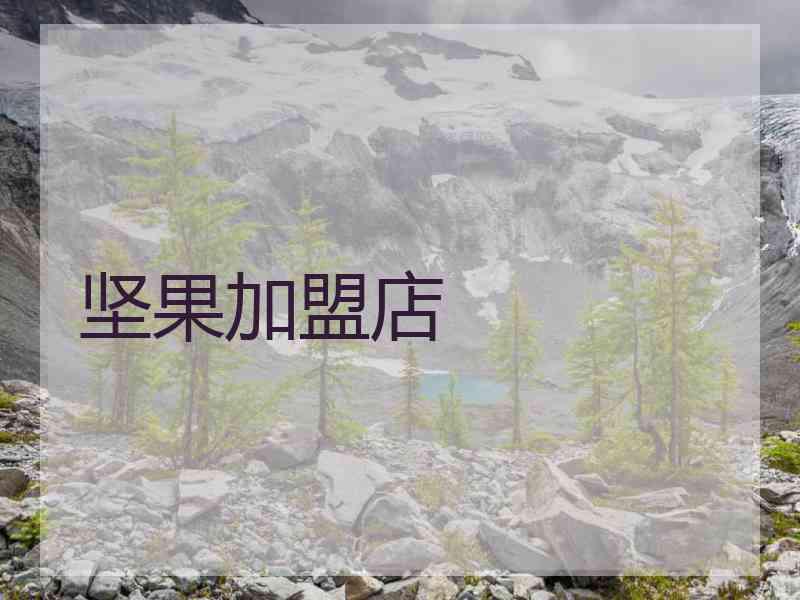 坚果加盟店 坚果加盟店