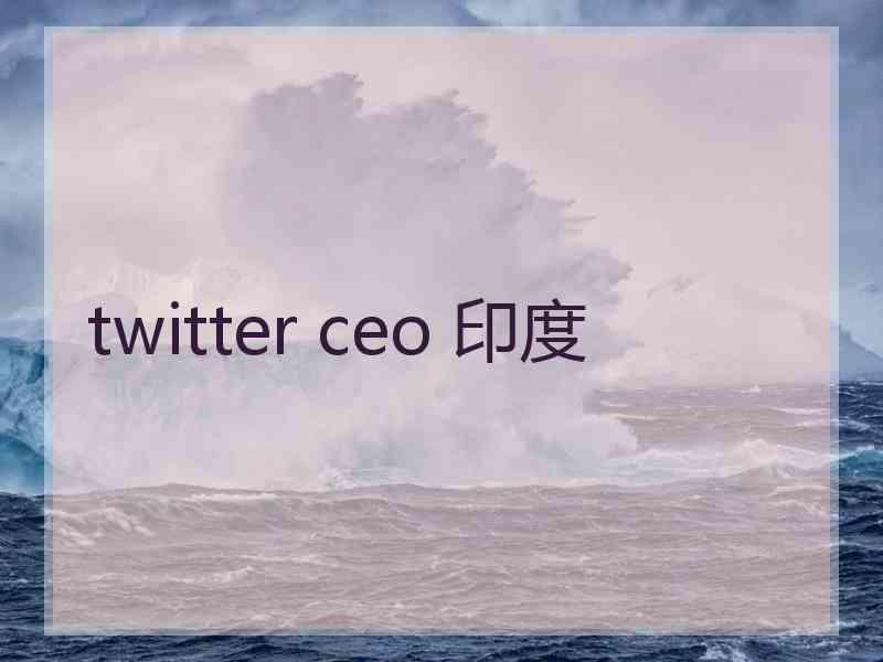 twitter ceo 印度 twitter ceo 印度