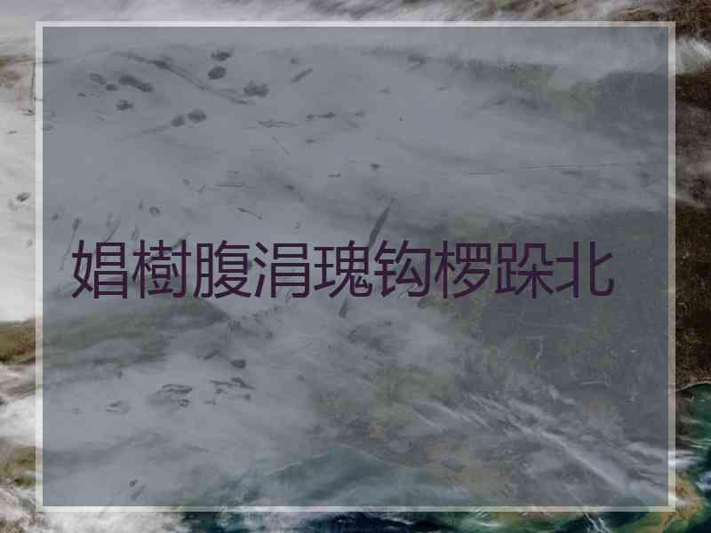 娼樹腹涓瑰钩椤跺北 娼樹腹涓瑰钩椤跺北