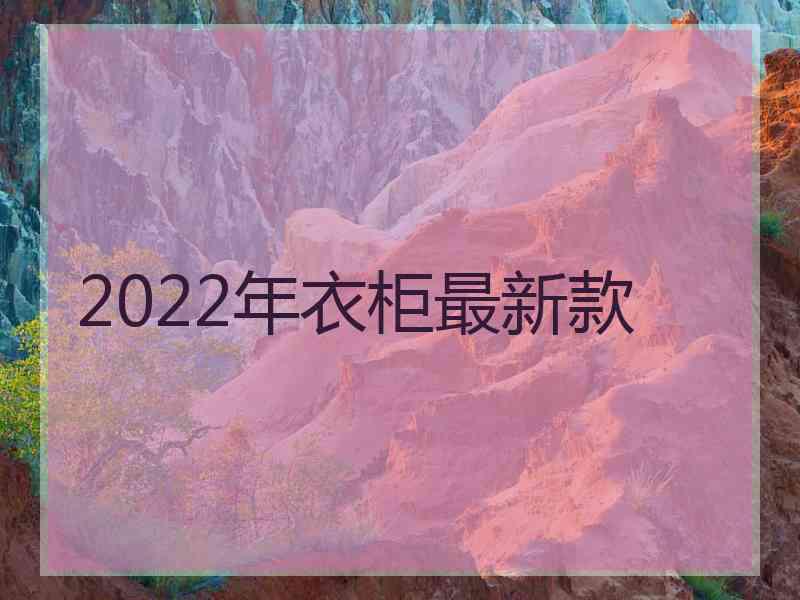 2022年衣柜最新款 2022年衣柜最新款