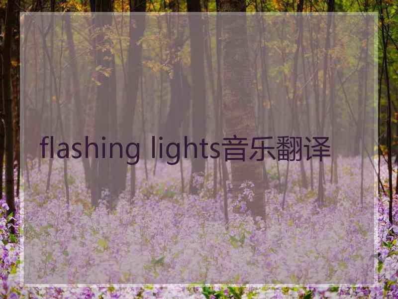 flashing lights音乐翻译 flashing lights音乐翻译