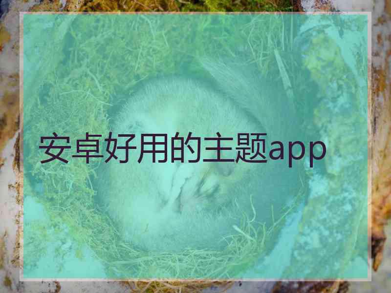 安卓好用的主题app 安卓好用的主题app