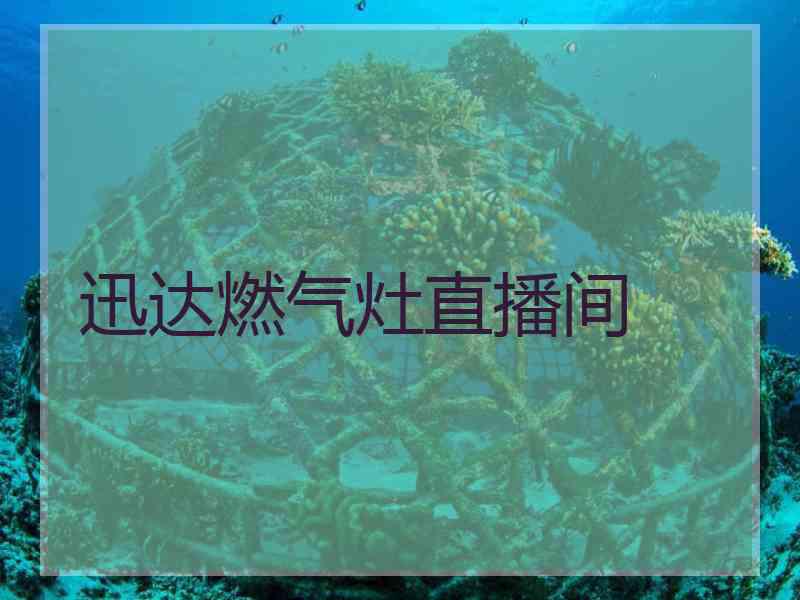 迅达燃气灶直播间 迅达燃气灶直播间