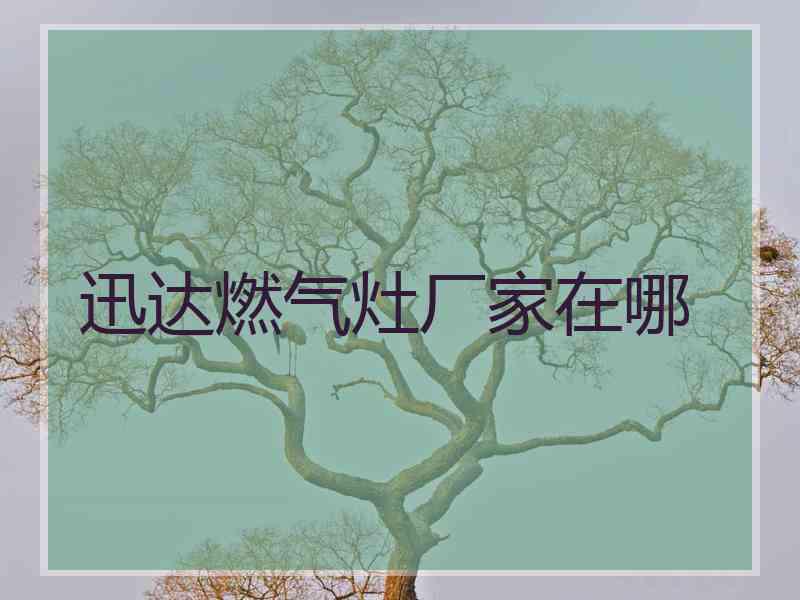 迅达燃气灶厂家在哪 迅达燃气灶厂家在哪