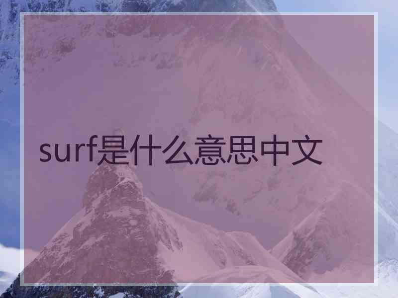 surf是什么意思中文 surf是什么意思中文
