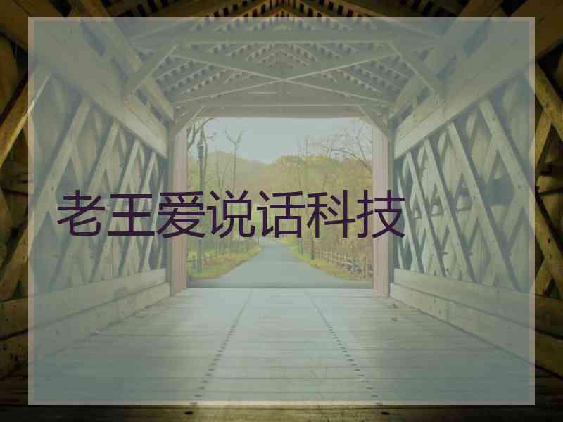 老王爱说话科技 老王爱说话科技