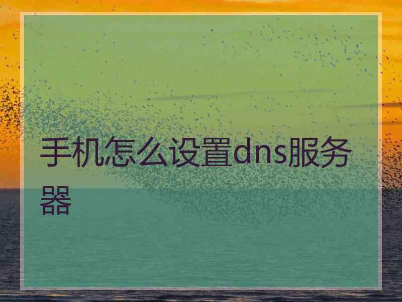 手机怎么设置dns服务器 手机怎么设置dns服务器