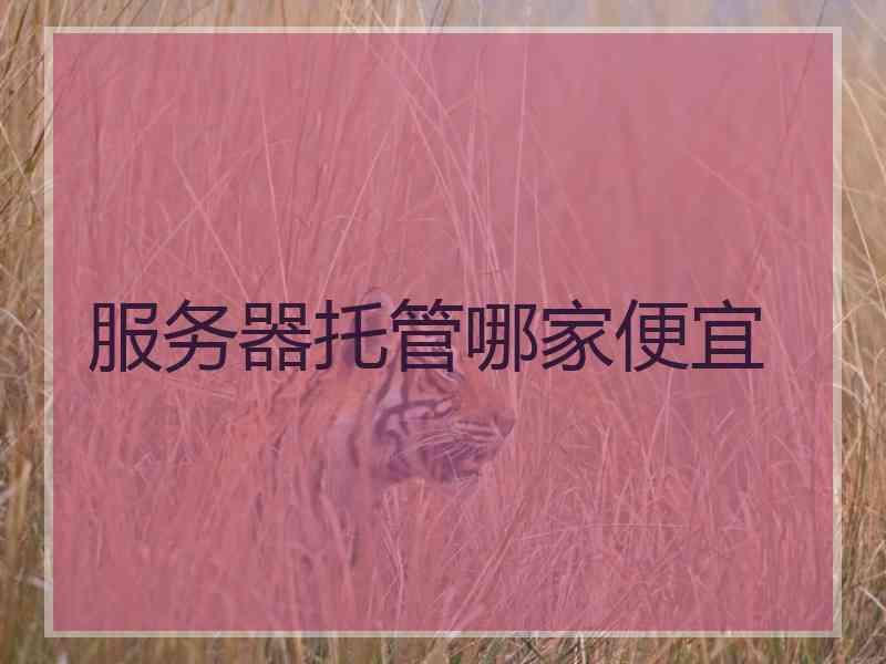 服务器托管哪家便宜 服务器托管哪家便宜