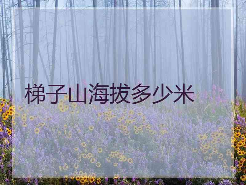 梯子山海拔多少米 梯子山海拔多少米