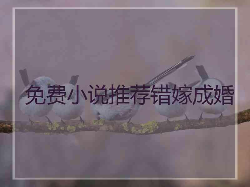 免费小说推荐错嫁成婚 免费小说推荐错嫁成婚