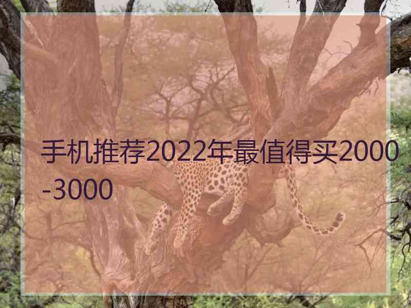 手机推荐2022年最值得买2000-3000 手机推荐2022年最值得买2000-3000