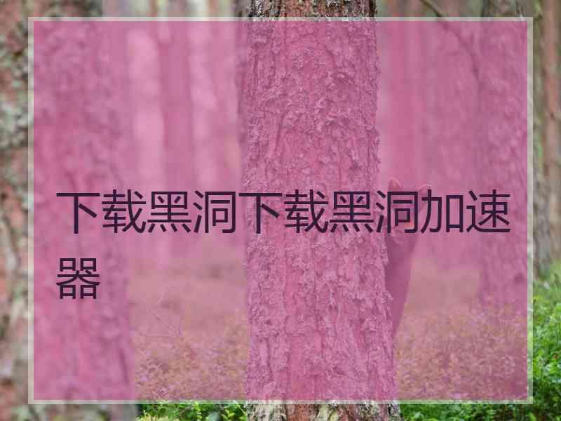 下载黑洞下载黑洞加速器 下载黑洞下载黑洞加速器