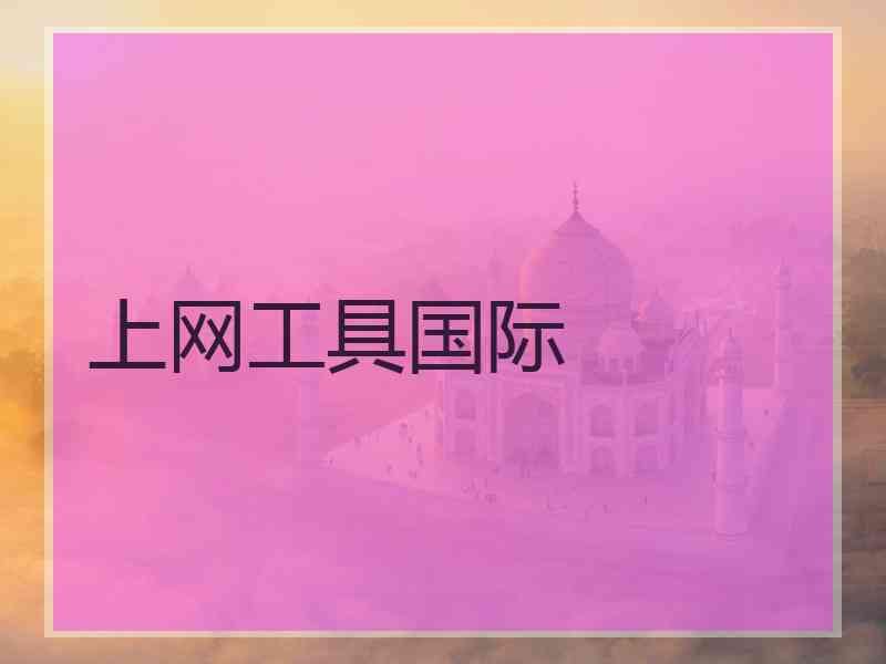 上网工具国际 上网工具国际