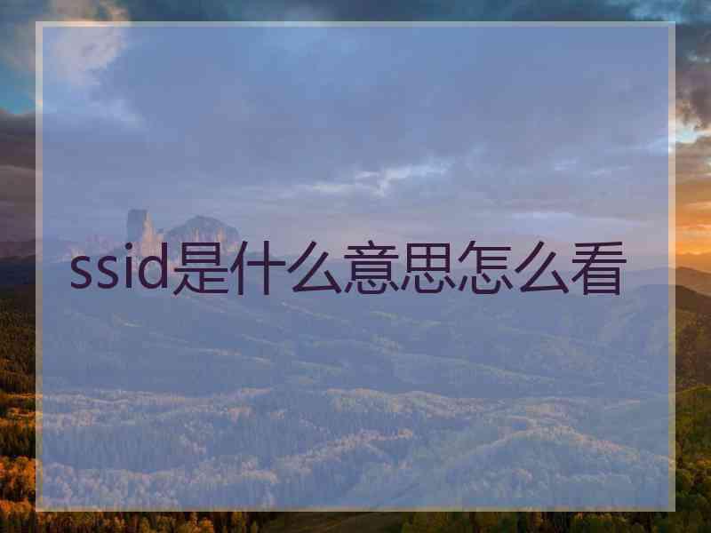 ssid是什么意思怎么看 ssid是什么意思怎么看