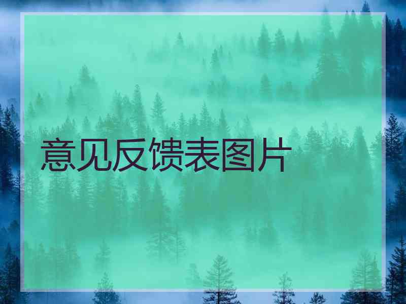 意见反馈表图片 意见反馈表图片
