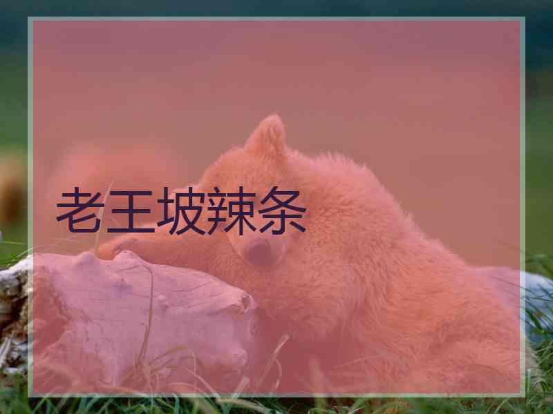 老王坡辣条 老王坡辣条