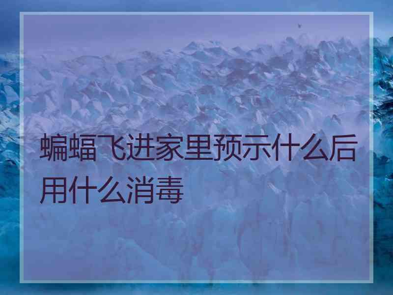 蝙蝠飞进家里预示什么后用什么消毒 蝙蝠飞进家里预示什么后用什么消毒