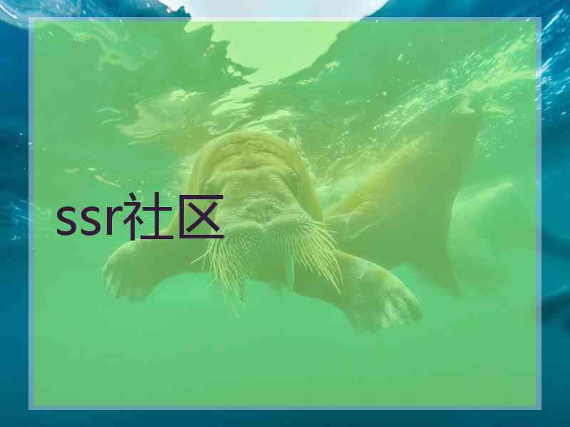 ssr社区 ssr社区